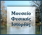 banner_mouseio_fusikis_istorias.jpg